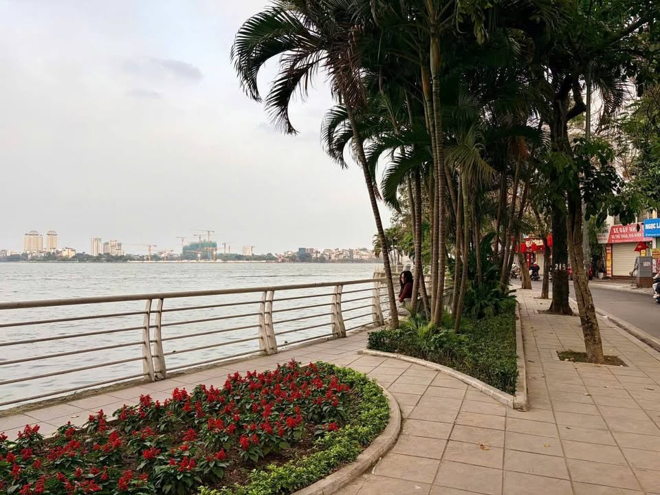 Nhà Mặt Phố Lạc Long Quân, Tây Hồ 300m² - Mặt tiền kinh doanh đắc địa!