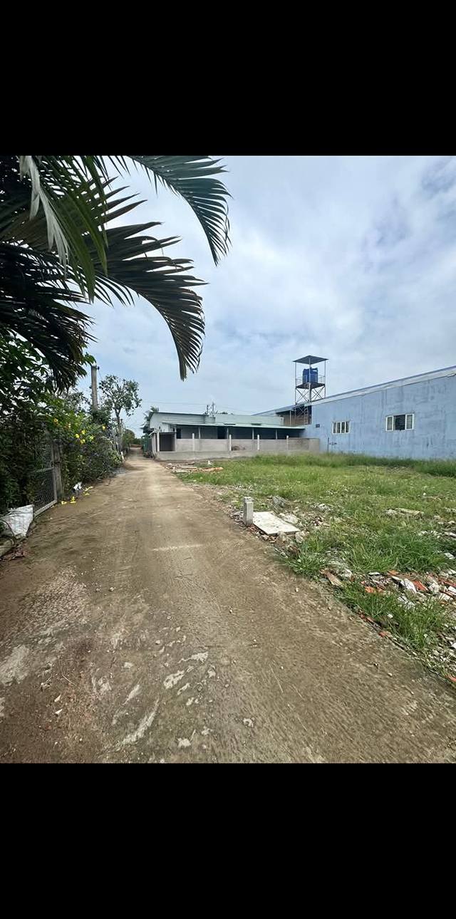 Bán Gấp Đất Mỹ Phong, Tiền Giang 81m² - Sổ Đỏ Sẵn Sàng