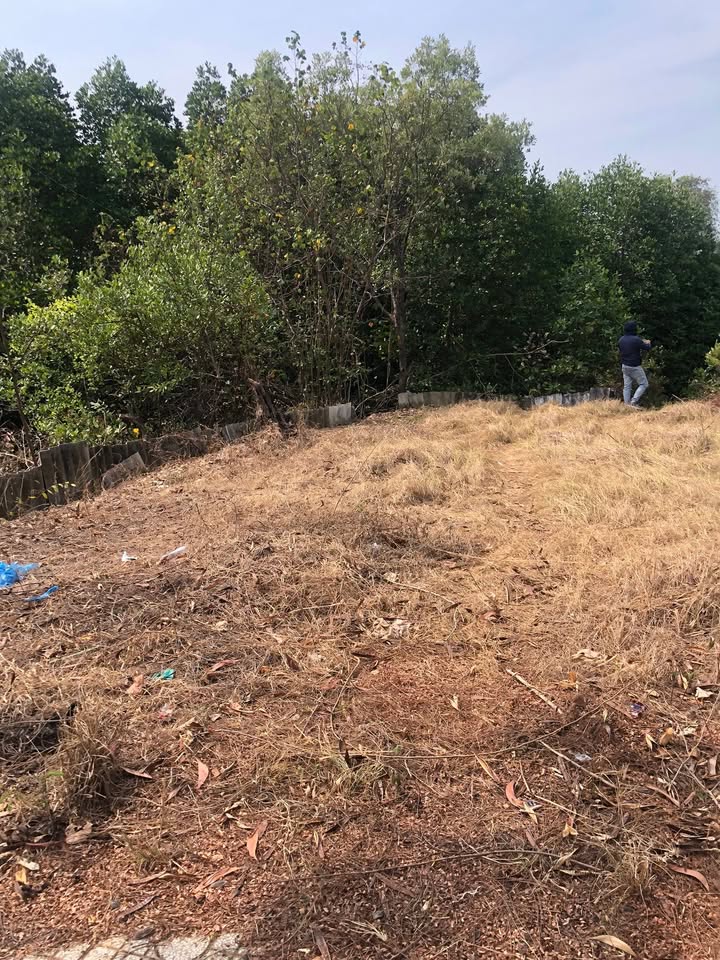 Bán đất mặt tiền Giồng Ao Cần Thạnh 334m² - Vị trí đắc địa kinh doanh ngay!