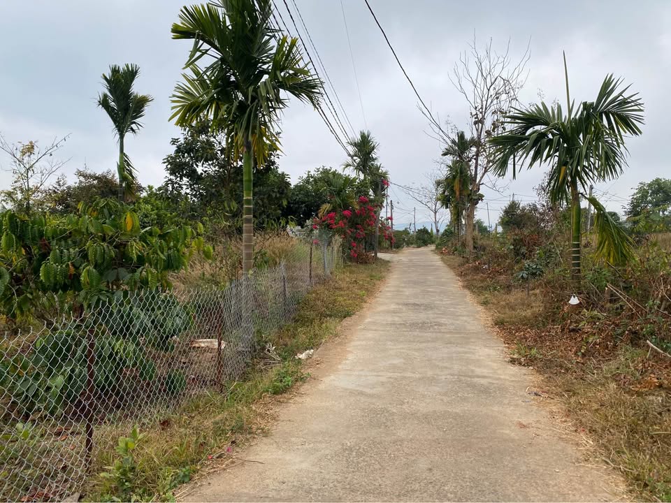 Đất Nền Đắk Nông 250m² - Nở Hậu Đẹp, Giá 350 Triệu Chính Chủ