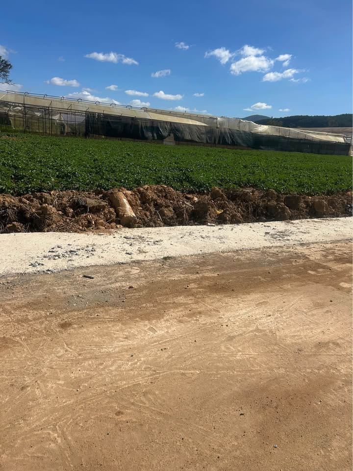 Đất thổ cư 200m² Đơn Dương, Lâm Đồng - Sổ đỏ, Giá 410 triệu