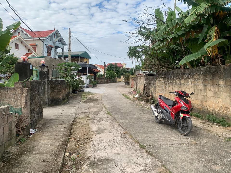 Đất nền Kim Sơn Đông Triều 228m² - Tiềm năng tăng giá vượt trội!