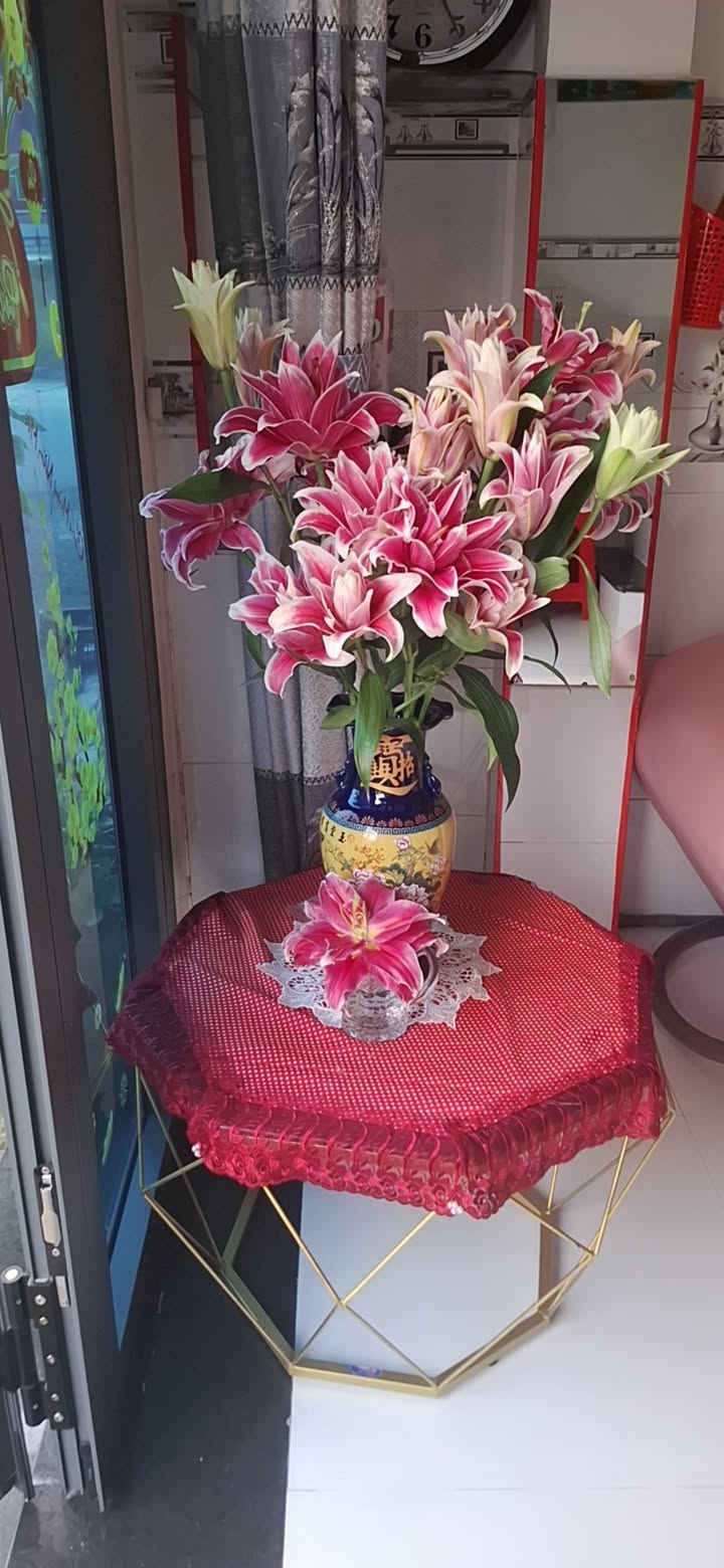 Đất nền Tân Hiệp Q12 220.9m² Sổ đỏ chính chủ, tiềm năng tăng giá!