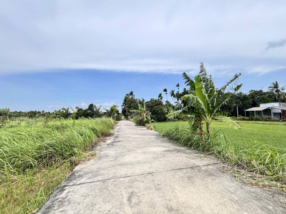 Bán Đất Bình Mỹ Củ Chi 88m² - Giá 1.69 Tỷ - Đường Xe Tải