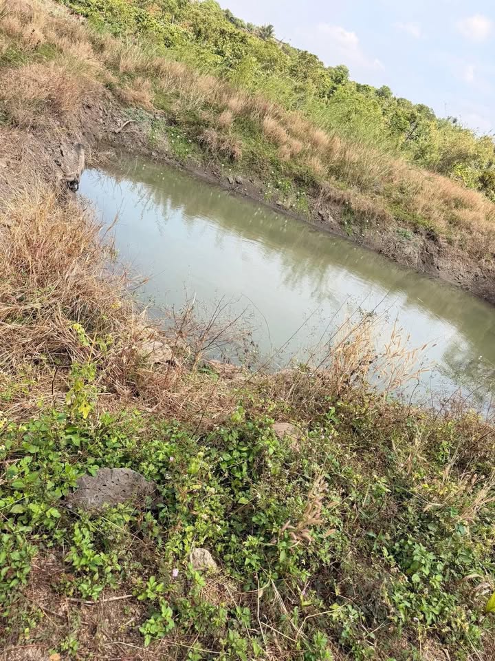 Đất Nền Đắk Mil 6500m² - Sổ Đỏ Chính Chủ, Ngân Hàng Thanh Lý Giá Tốt!