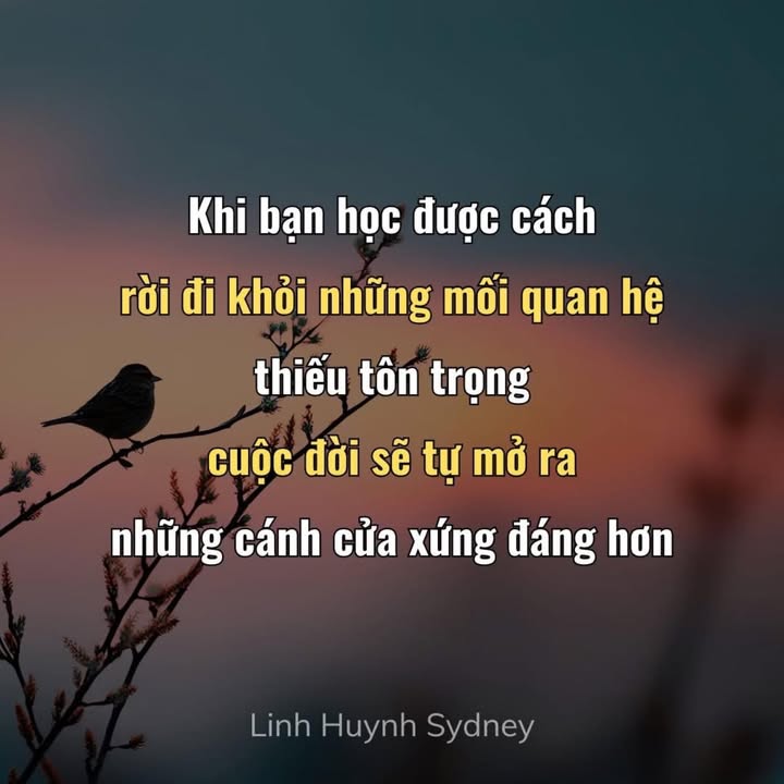 Đất nền Thôn 15 Tâm Thắng 220m² - Giá 500 triệu, Sổ đỏ sẵn sàng