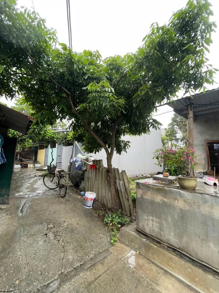 Đất nền Tả Thanh Oai, Thanh Trì 100m² - Sổ đỏ sẵn sàng, đầu tư sinh lời