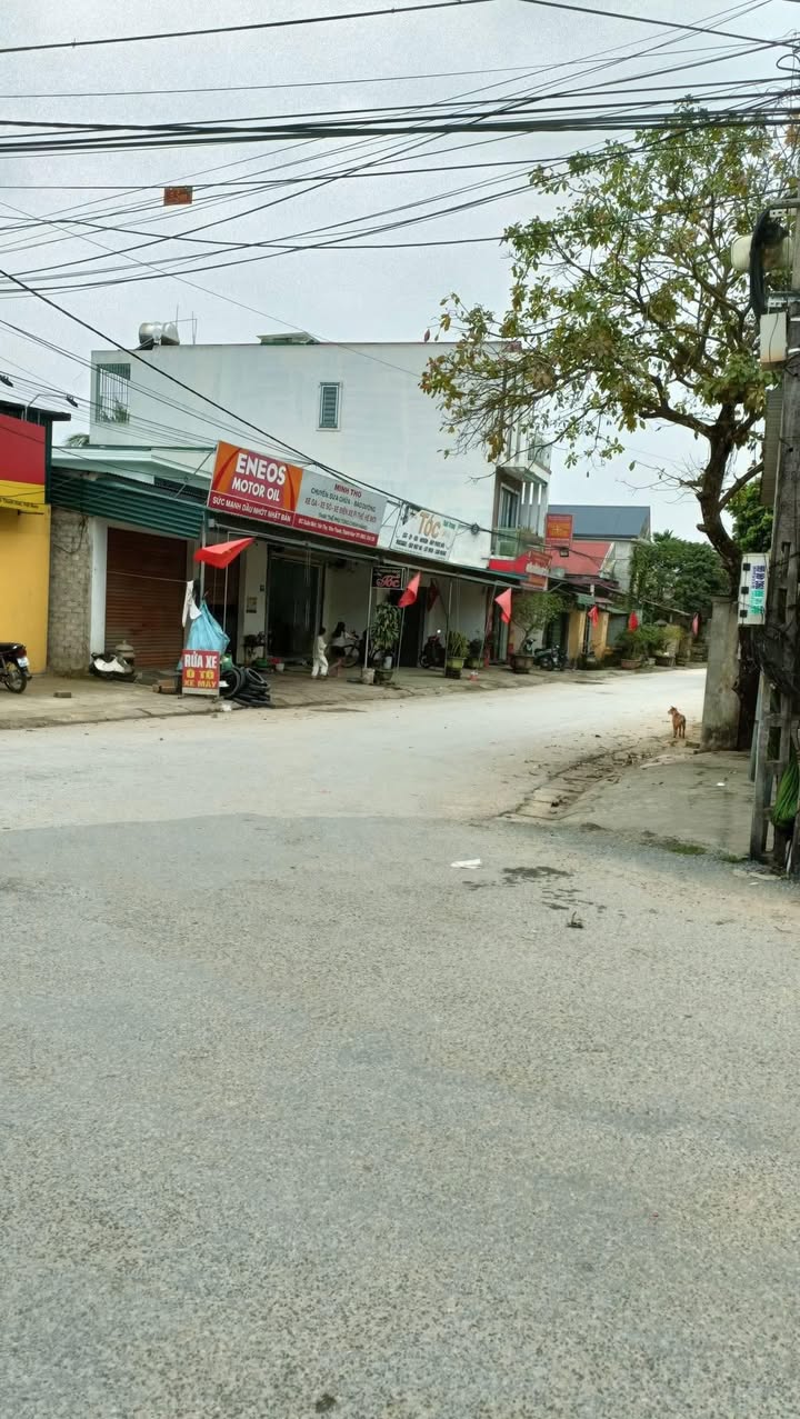 Đất nền Yên Thọ Như Thanh 240m² giá 1.1 tỷ - Sổ đỏ chính chủ!