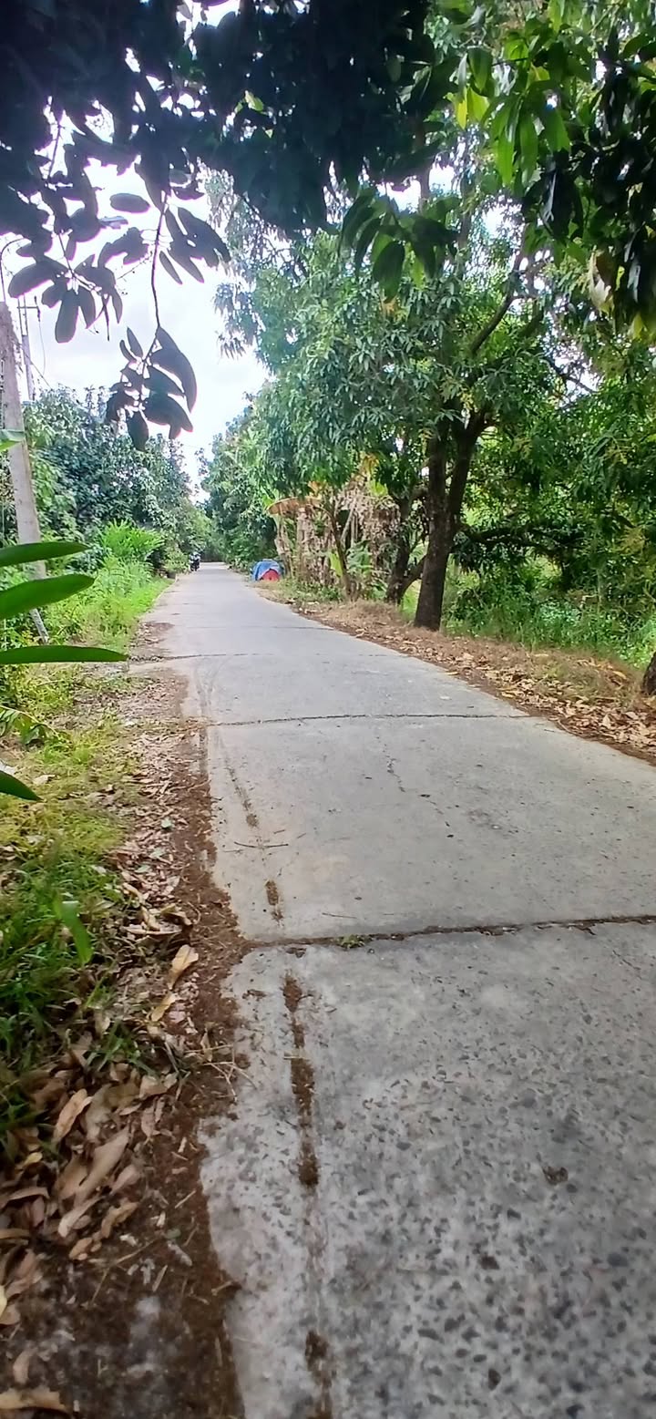 Đất Nền 140m² TP Cao Lãnh - Sổ Hồng Sẵn Sàng, Giá Tốt 600 Triệu