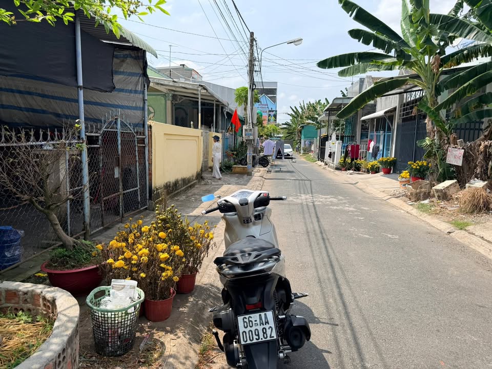 Nhà mặt tiền Lấp Vò Đồng Tháp 110m² - Mặt tiền kinh doanh!