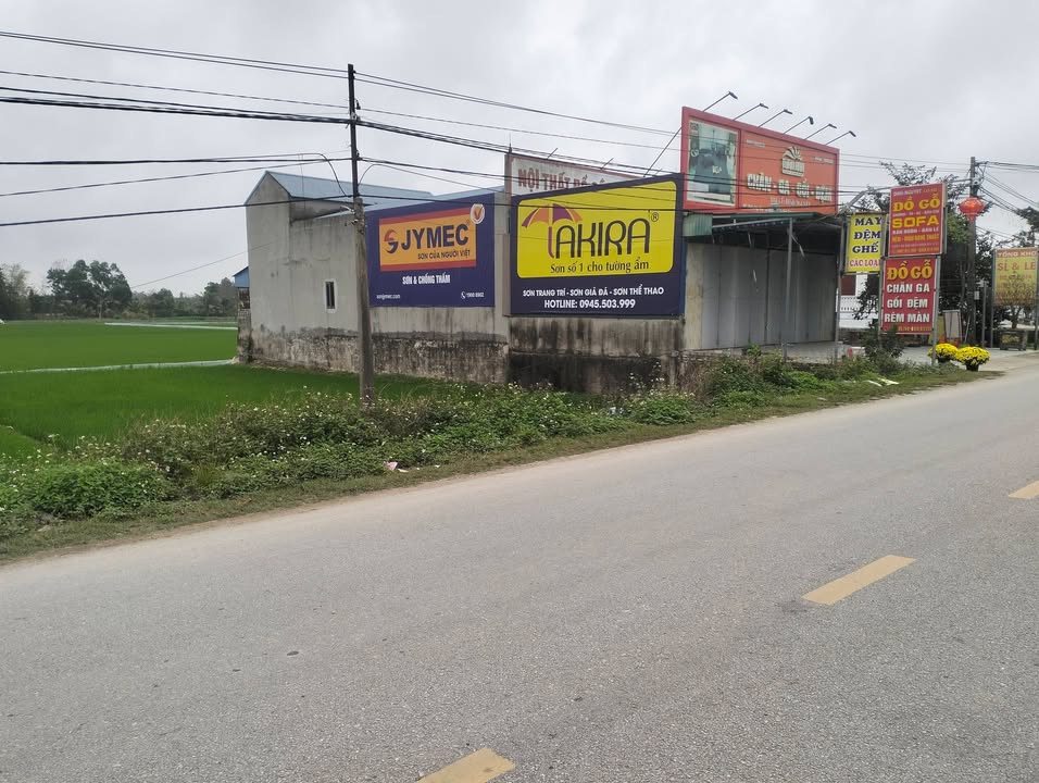 Đất nền Quảng Hợp, Thanh Hóa 100m² - Hướng Bắc, Kinh doanh tốt