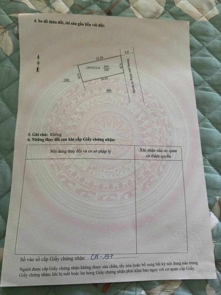 Đất nền Trung Đào Quảng Yên 200m² - Tiềm năng tăng giá vượt trội!