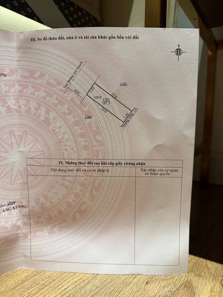 Đất Nền Mặt Đường Quảng Văn, Thanh Hóa - 187m² Kinh Doanh Tốt