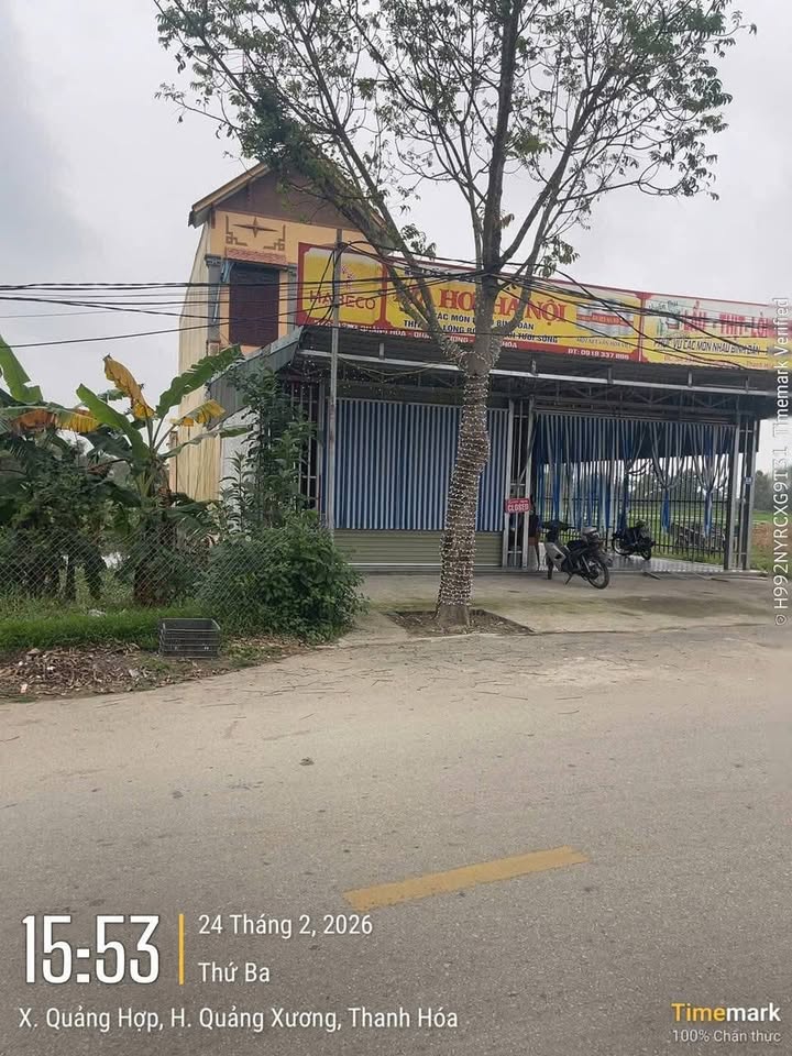 Đất Nền Quảng Hợp 125m² - Mặt Tiền Trục Chính Kinh Doanh