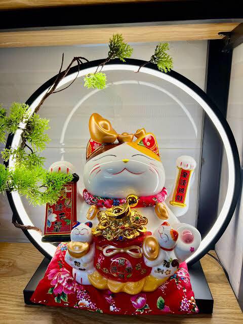 Cho Thuê Nhà Hẻm 250m² Quận 10 - Kinh Doanh Đa Ngành, Sẵn Sàng Hoạt Động