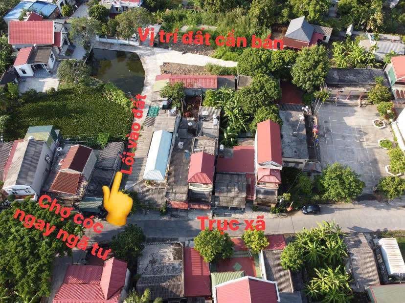 Đất nền 90m² Tất Thượng, Tứ Kỳ – Đường to ô tô, giá hơn 600 triệu!