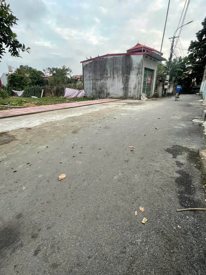 Bán Đất Tự Lạn, Bắc Ninh 200m² - Sổ Hồng Chính Chủ, Giá 1.8 Tỷ