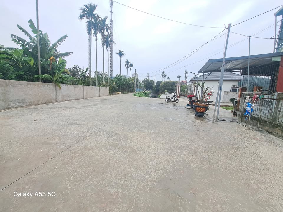 Đất nền Ninh Giang 98m² - Trung tâm thị trấn, sổ đỏ trao tay!