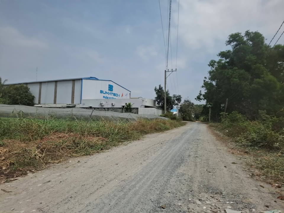 Đất Vườn Long An 300m² Mặt Tiền TL9 - Giá Đầu Tư 1.35 Tỷ