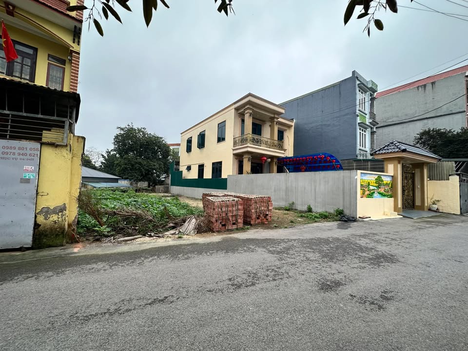 Đất nền Thanh Miếu 117.5m² - Sổ đỏ sẵn, gần Đại lộ Hùng Vương