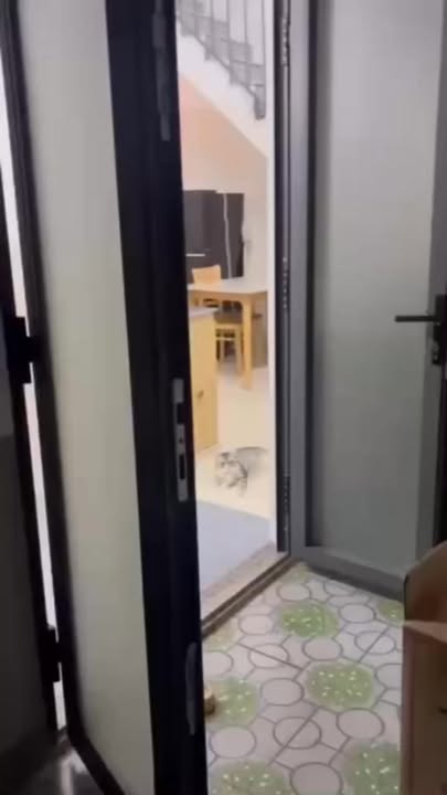 Căn hộ mini Giải Phóng 5 triệu - Nội thất mới tinh, vào ở ngay!