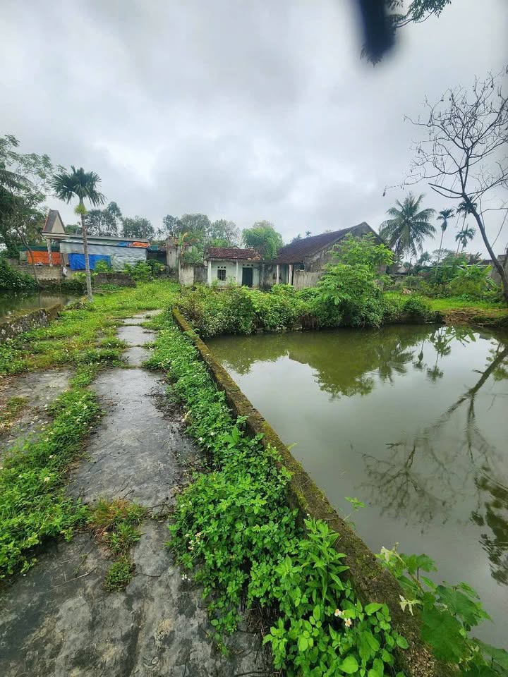 Đất Vườn 891m² Tân Thọ, Triệu Sơn - View Sông Mát Lành, Giá Tốt