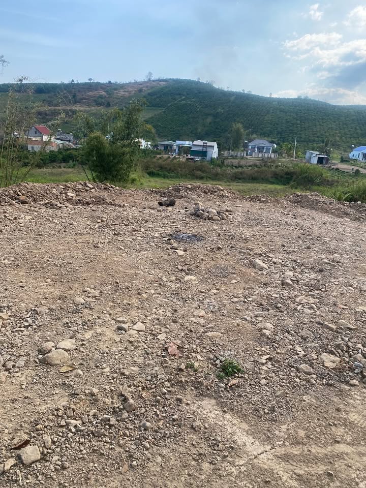 Đất nền Đức Trọng Lâm Đồng 240m² - Sổ đỏ chính chủ, công chứng ngay!