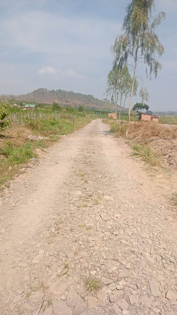 Bán 1.3ha Đất Nông Nghiệp Đức Trọng, Lâm Đồng - Vị Trí Đắc Địa, Tiềm Năng Sinh Lời Cao