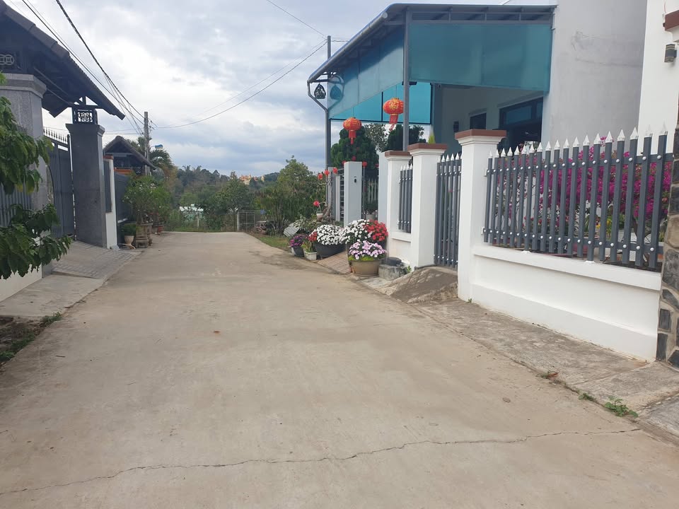 Đất Nền Xã Đại Ninh, Đức Trọng - Sẵn Sổ, Gần QL20, Giá Chỉ Từ 1.6 Tỷ