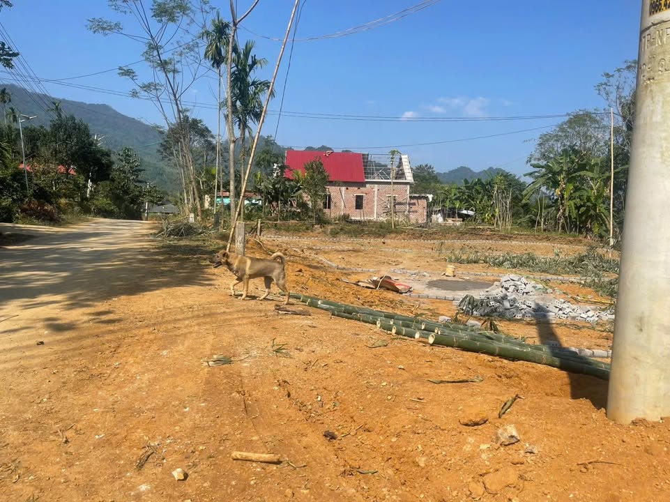 Đất nền Điền Thượng, Bá Thước 120m² - Sổ đỏ chính chủ!