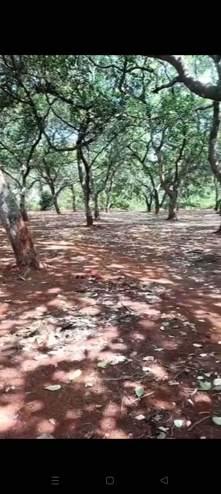 Đất vườn Xuân Lộc, Đồng Nai 2880m² - Đầu tư dài hạn!