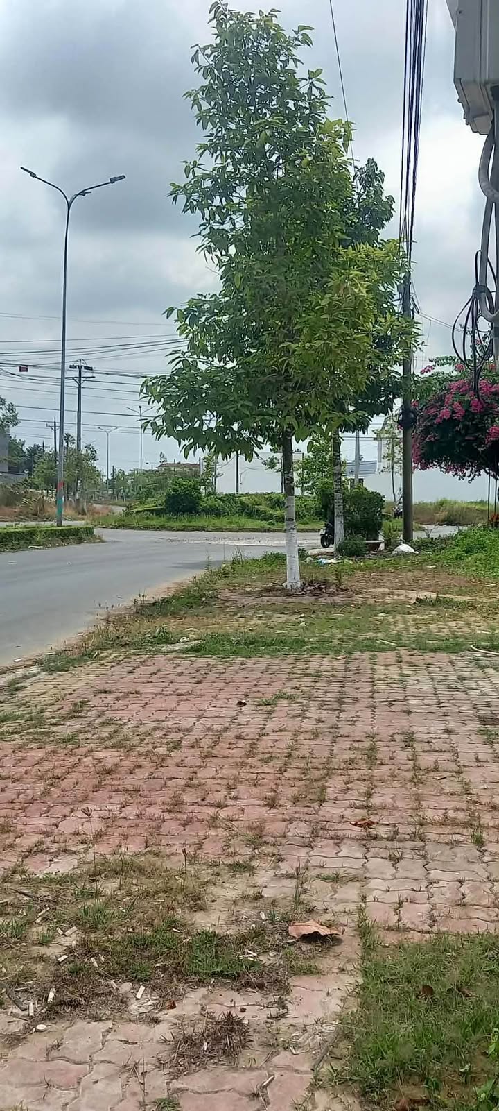 Đất nền 125m² Phường Thanh Đức, Vĩnh Long - Đường to ô tô!