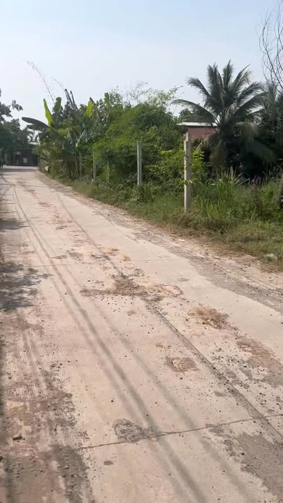 Đất Nền 280m² Full Thổ Cư Đức Hòa - Sổ Hồng Sẵn Sàng