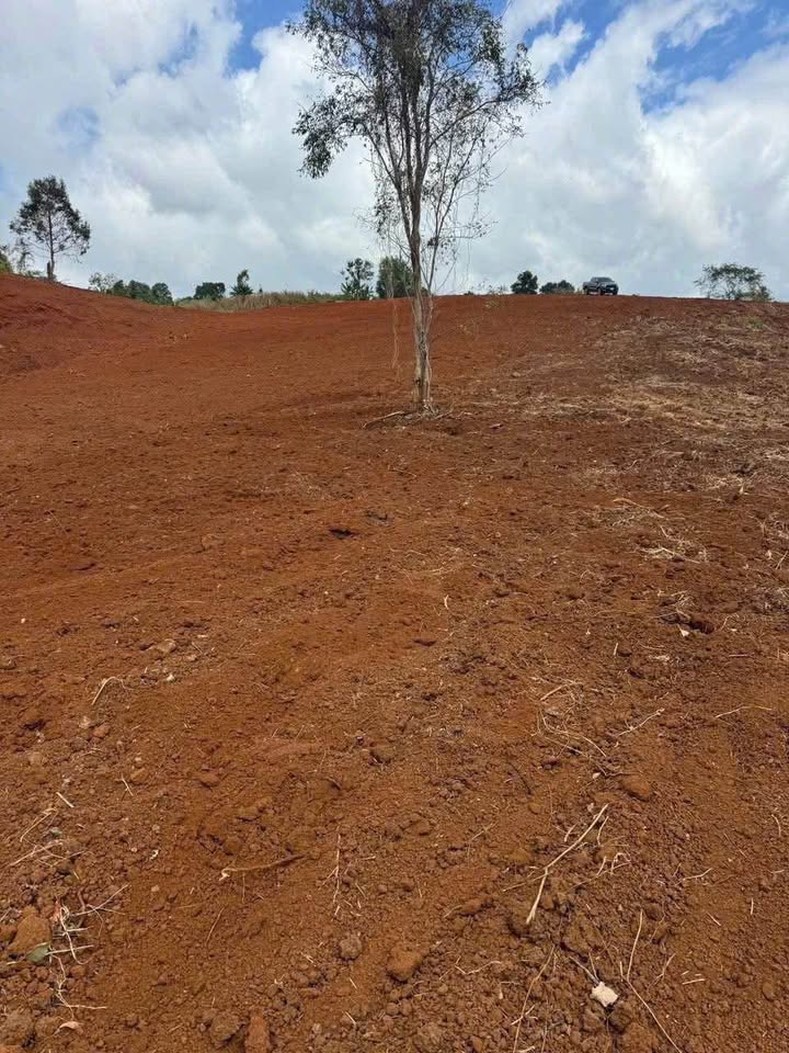 Đất nền Krông Búk 60.000m² - Sổ đỏ chính chủ, tiềm năng sinh lời!