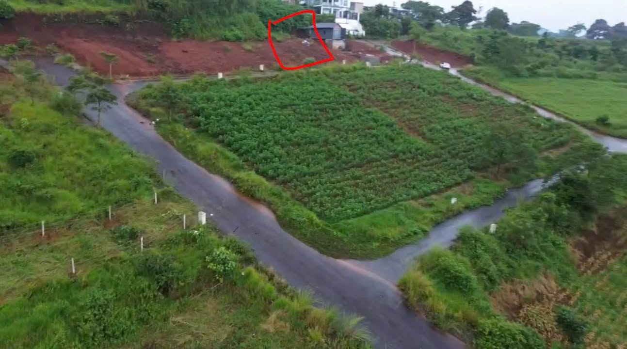 Đất Nền Bảo Lộc 150m² Sổ Đỏ - Đối Diện Đồi Chè Tâm Châu Giá 550 Triệu