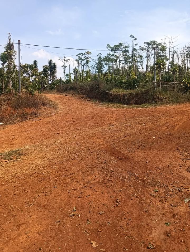 Đất nền Phường Phú Tài 185m² giá 330 triệu - Sổ đỏ chính chủ!