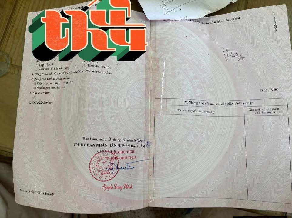 Đất nền Bảo Lâm 267m² giá 450 triệu - Sổ đỏ chính chủ, tiềm năng cao!