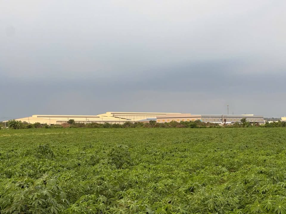 Bán Gấp 10.000m² Đất Mặt Tiền Đường Nhựa Châu Pha, Phú Mỹ - Giá Tốt