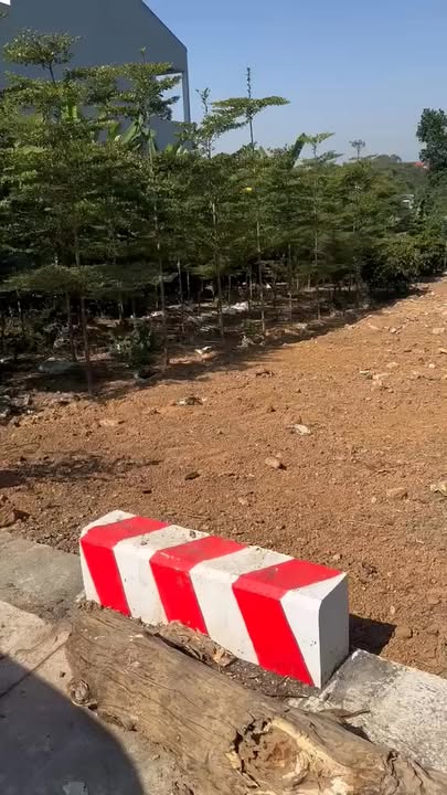 Đất nền Long Biên 200m² - Sổ đỏ chính chủ, đường ô tô tránh!