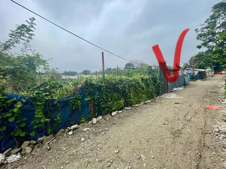 Đất nông nghiệp Thúy Lĩnh, Hoàng Mai 475m² - Tiềm năng tăng giá!