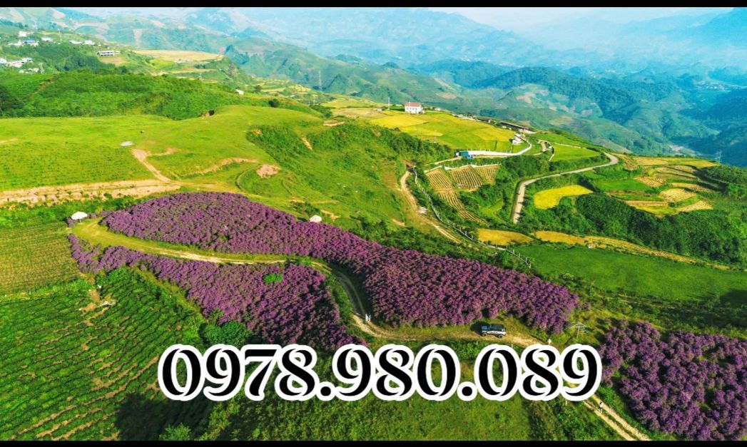 Đất Sơn La 4527m² View Săn Mây, Đồi Sim - Giá Đầu Tư Tốt