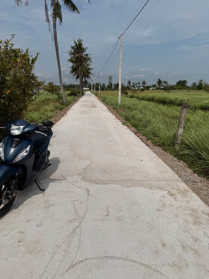 Đất Vườn 700m² Sổ Hồng Chính Chủ - Giá 420 Triệu Tại Tân Phú Đông, Tiền Giang