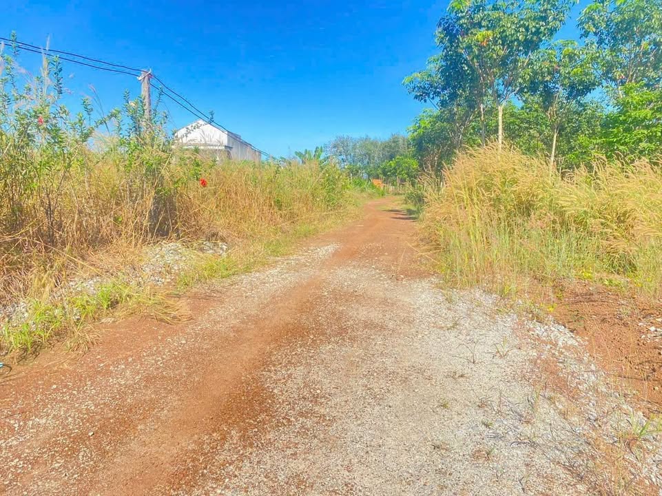 Bán Gấp Đất Nền 185m² Ấp Dên Dên, Bình Chánh - Giá 2 Tỷ