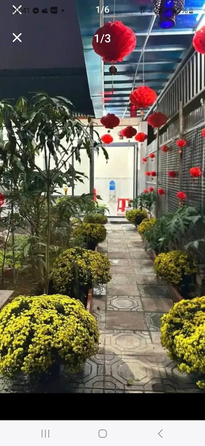 Nhà Vườn Biên Hòa 132m² Sổ Hồng Riêng - Giá Tốt Trước Tết