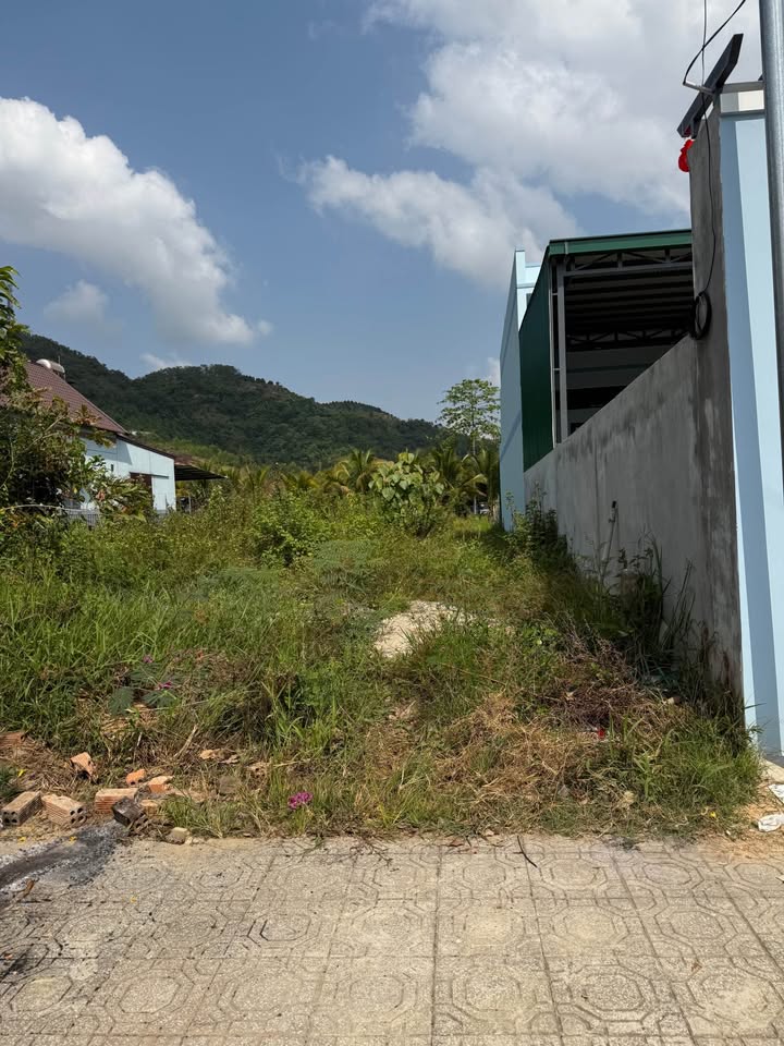 Bán đất mặt tiền đường nhựa TT. Ma Đa Guôi, Đạ Huoai - 300m² Thổ cư, Giá 1.3 tỷ