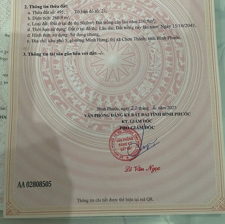 Đất nền Mặt tiền đường 10, Q7 - 258m² - Giá 8.x Tỷ - Thổ cư 100%