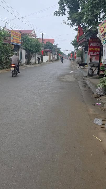 Đất Thổ Cư 200m² Sổ Đỏ Chính Chủ - 3 Mặt Tiền Giá 720 Triệu Tại Nga Sơn