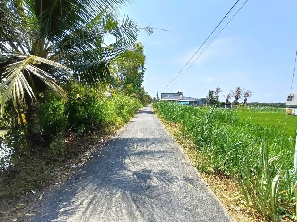 Bán Đất Vườn 1327m² Gò Công Tây, Tiền Giang - Sổ Sẵn Giá 1.68 Tỷ