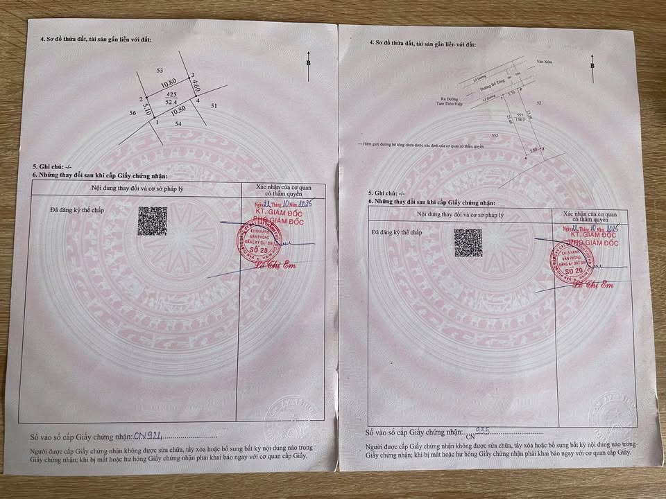 Đất Thổ Cư Cần Giờ 186m² Sổ Hồng Riêng - Giá 3.7 Tỷ