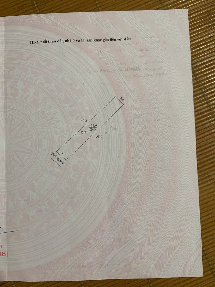 Đất Vĩnh Hòa Ninh Giang 240m² - View Sông Thoáng Mát, Ô Tô Tránh Nhau